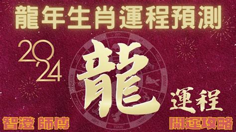 甲辰龍年|2024龍年生肖運勢解析！屬兔先學會放下、屬羊需要安太歲、屬。